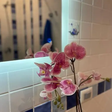 Blue Taormina * レトイアンニ